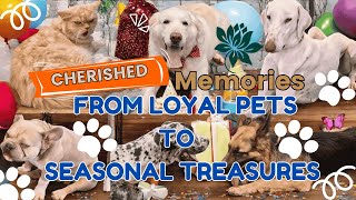 Cherished Memories: From Loyal Pets to Seasonal Treasures #DasaraPetShow #LoyalPets #FestiveMemories