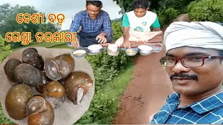 ଗେଣ୍ଡା ତରକାରୀ ପ୍ରସ୍ତୁତ#Making Sanail Recipe Process#Village Food#@New Foods Traveller