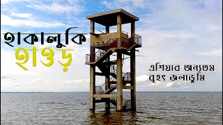 Hakaluki Bangladesh's Largest Marsh Wetland. হাকালুকি হাওর বাংলাদেশের বৃহত্তম জলাভূমি | rezwanatw