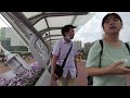 【广州漫步】在夏日的早上登上广州新落成的海心桥 walk in guangzhou