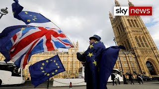 Sky Data poll: Public turning against Brexit