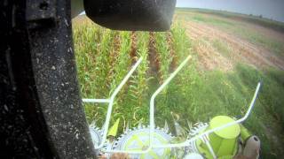 Silage Chopping 2011