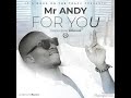 Mr Andy - For You (prod by IDOT)