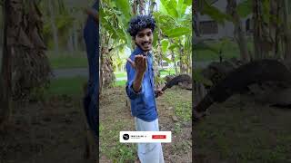 රණ්ඩුවක් උනාම with එහා ගෙදර 😂💔 | Sinhala Funny Shorts Collection  #sinhala #shorts_feed #shorts