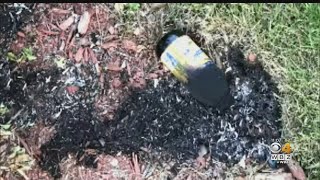 Arson Investigation: Auburn Homes Targeted With Molotov Cocktails