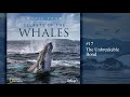 Music from Secrets of the Whales - The Unbreakable Bond (Soundtrack by Raphaelle Thibaut)