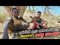 പച്ചക്ക് തിന്ന് കളയും ഈ മൃഗ ഭോജികൾ | Hadza Hunting Tribe,Tanzania