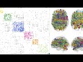 community detection in brain connectome using quantum annealer devices quantum brain networks