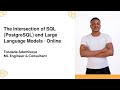 Text2SQL PostgreSQL & Large Language Models for Data Query - Tolulade Ademisoye