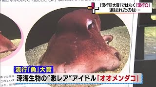 水族館で「流行”魚”大賞」発表　大賞は”レア”な深海生物「オオメンダコ」＜福島・いわき市＞ (23/12/01 18:50)