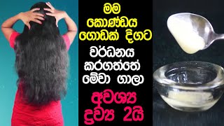 මගේ කොණ්ඩය වවාගත්ත රහස දන්නවද? | Must Do This: Before Hair Wash