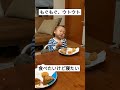 2歳児のもぐもぐ、ウトウト😅食べたいけど眠い 癒やし動画