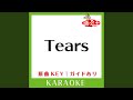 Tears (XJAPAN Version) (カラオケ) (原曲歌手:X JAPAN］)