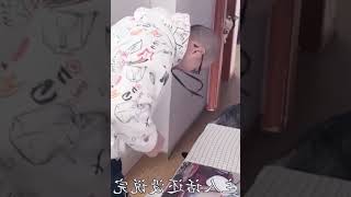 神哈麦妞：哈士奇帮主人花式撩妹，暴脾气狗狗让主人哭笑不得！ #010