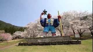 長野県　戸倉宿キティパークの桜