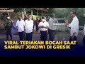 Viral Bocah-bocah Teriak Yo Ndak Tahu Kok Tanya Saya saat Sambut Kunjungan Jokowi ke Gresik