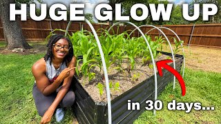My Backyard Garden BLEW UP in Just 30 Days (Despite My Mistakes lol)