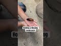 i’m holding a hissing cockroach 😱😱😱 omg brave notafraid