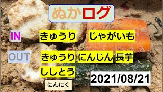 【ぬか漬け記録 21/08/21 】　きゅうり  にんじん  長芋  ししとう   にんにく(引き上げ動画あり)