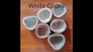 Our White Copra Factory