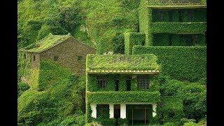 10 Incredible Examples of Architecture Reclaimed by Nature