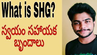 Self Help Group, స్వయం సహాయక బృందాలు , what is self help groups full Explanation, CBSC 10 class