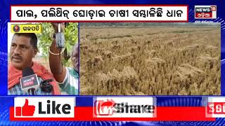 Local News | ଗଜପତି ଜିଲ୍ଲାରେ ଚିନ୍ତାରେ ଚାଷୀ | Odia News