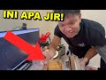 Gw Akhirnya BERSIHIN DAN RAPIIN Kamar Gw ... (BJIR ADA ULAT)