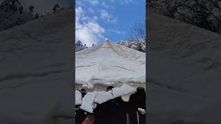 Snowfall Auli Uttarakhand | Nature Video - 14