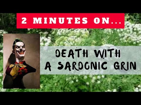 What is the sardonic grin?