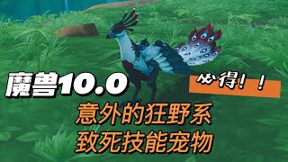 【魔兽世界10.0】意外的狂野系+致死技能的宠物，最轻松的一波巨龙群岛抓宠之旅！