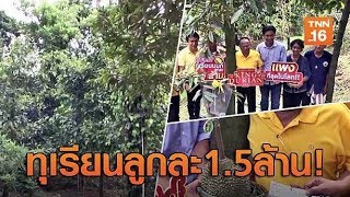 ตัดแล้ว ทุเรียนเมืองนนท์แพงที่สุดในโลก จ.นนทบุรี | เรื่องดีดีทั่วไทย