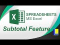 MS Excel | Subtotal Feature