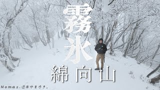 【登山】綿向山・鈴鹿山系 霧氷のブナ林を歩く | 低山雪山ハイク