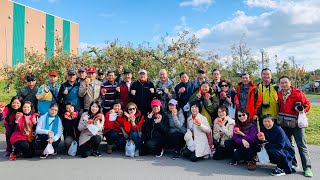 日本東北 -蘋果公園.弘前城.奧入瀨溪.十和田湖