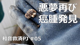 バラが枯れちゃう！和音救済プロジェクト#05～癌腫発見～