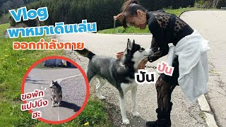 Vlog พาน้องหมาออกกำลังกาย l เดินเล่น  เมือง Aichhalden : เยอรมนี