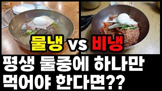 물냉면 vs 비빔냉면 평생 둘중 하나만 먹어야 한다면?