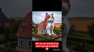 यहां एक बिल्ली नजर आ रही है आप कुता दिखाएं 🦮 😻#funny #viral #cat #dog #youtuber #youtubeshort