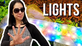 5 Things I Wish I Knew About Planted Aquarium Lighting