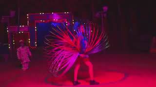 India's Biggest Circus: New Breathtaking Acts - Chh Sambhaji Nagar (Aurangabad) - Bingo Circus