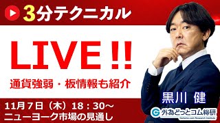 見通しズバリ！3分テクニカル分析「ライブ‼」 NY市場の見通し　2024年11月7日