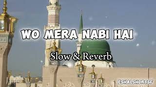Wo Mera Nabi Hai (Slow+Reverb Naat) || Syed Hassanullah || @FirefuryHQ