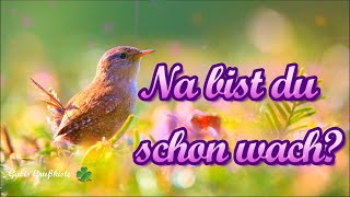 Ein Guten Morgen Gruß 🍀 Liebe Grüße ☺️