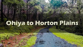 Wonderful road trip in Sri Lanka (Ohiya to Horton plains)