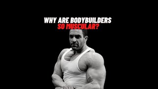 Why Are Bodybuilders So Muscular?