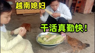 越南媳婦摘一晌午豆角，餓了煮點玉米吃，再摘點果子解解渴！