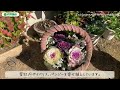 🕊garden tour🕊09：母親が残してくれたお花や多肉植物を大切に育てる、日当たりの良いお庭