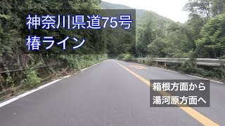 【車載動画】神奈川県道75号 椿ライン