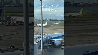 【羽田空港】スカイツリーをバックに飛行機たち#スカイツリー #羽田空港#shorts